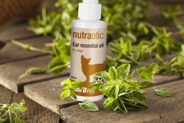 Nutraotic-Ear-Essential-Oil-3 Nutraotic ear essential oil 60ml