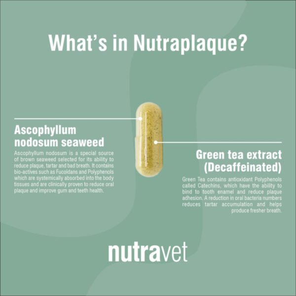 Nutraplaque Capsules for Dogs Oral Health