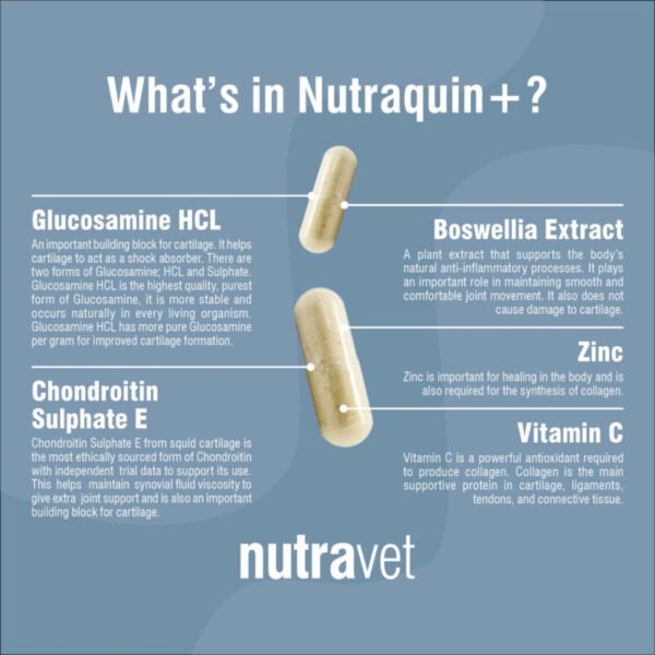 Nutraquin+2 Nutraquin+ Dogs & Cats Capsules