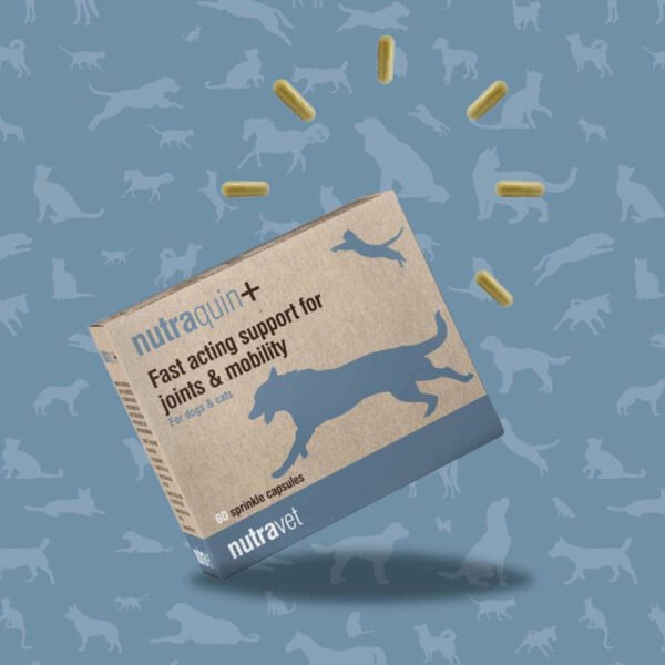 Nutraquin+3 Nutraquin+ Dogs & Cats Capsules