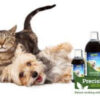 Precision Microbes Cat & Dog