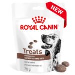 Royal Canin Dog Gastrointestinal Treat