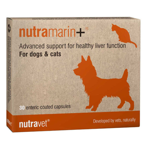 nutramarinplus-30 Nutramarin+ Dogs & Cats Capsules