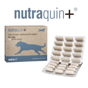 Nutraquin+ Dogs & Cats Capsules