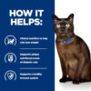 Hill’s Feline m/d Diabetes Care Dry & Tins