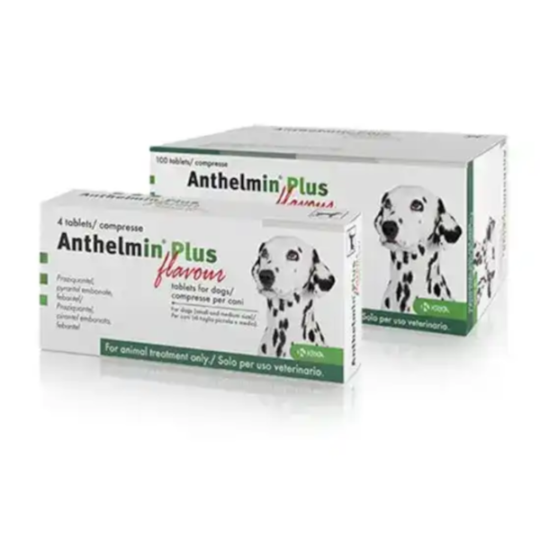anthelmin plus dog