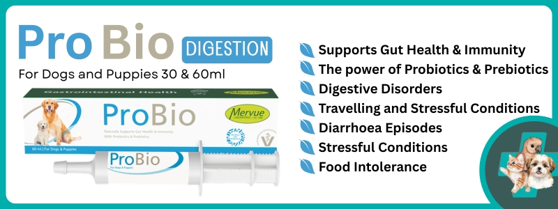 ProBio Dog Banner