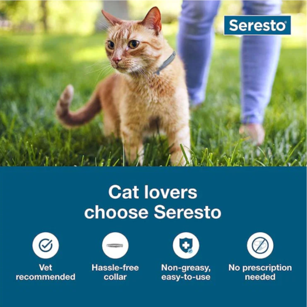 Seresto Flea & Tick Collar for Cats
