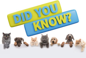 Did you know