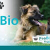 ProBio Paste for Dogs and Puppies