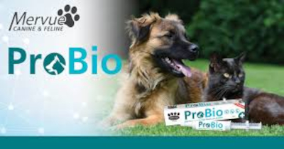 ProBio Paste for Dogs and Puppies