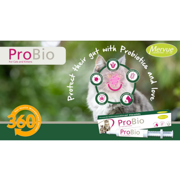 ProBio Paste for Cats & Kittens 15ml