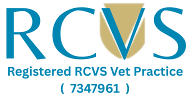Registered RCVS Vet Practice