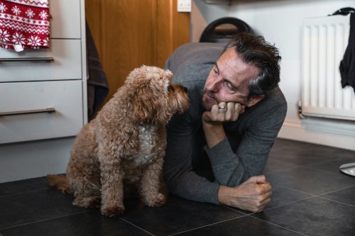 Owner checking on their dog at home