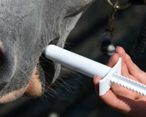 Worming Your Horse