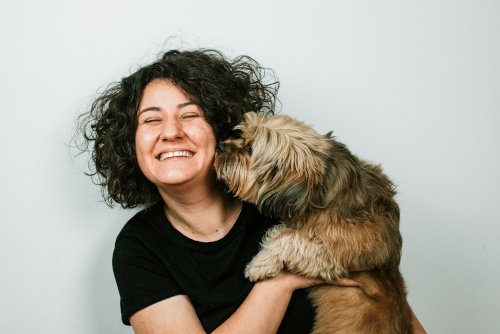 Happy dog sitting with owner