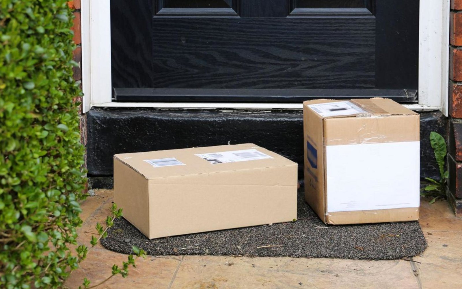 Pet medicine delivery parcels left safely at a front door