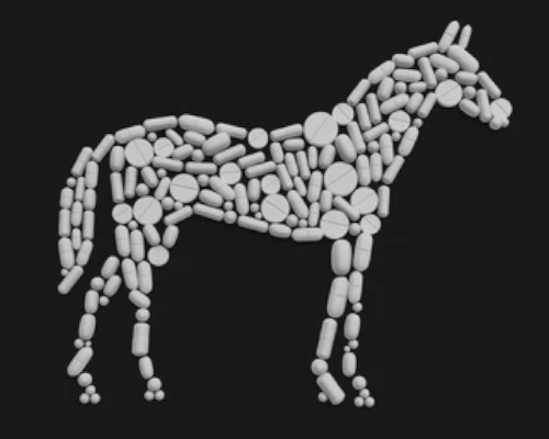 Can I Give My Horse Human Painkillers