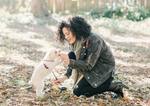 Dog sitting with owner outdoors