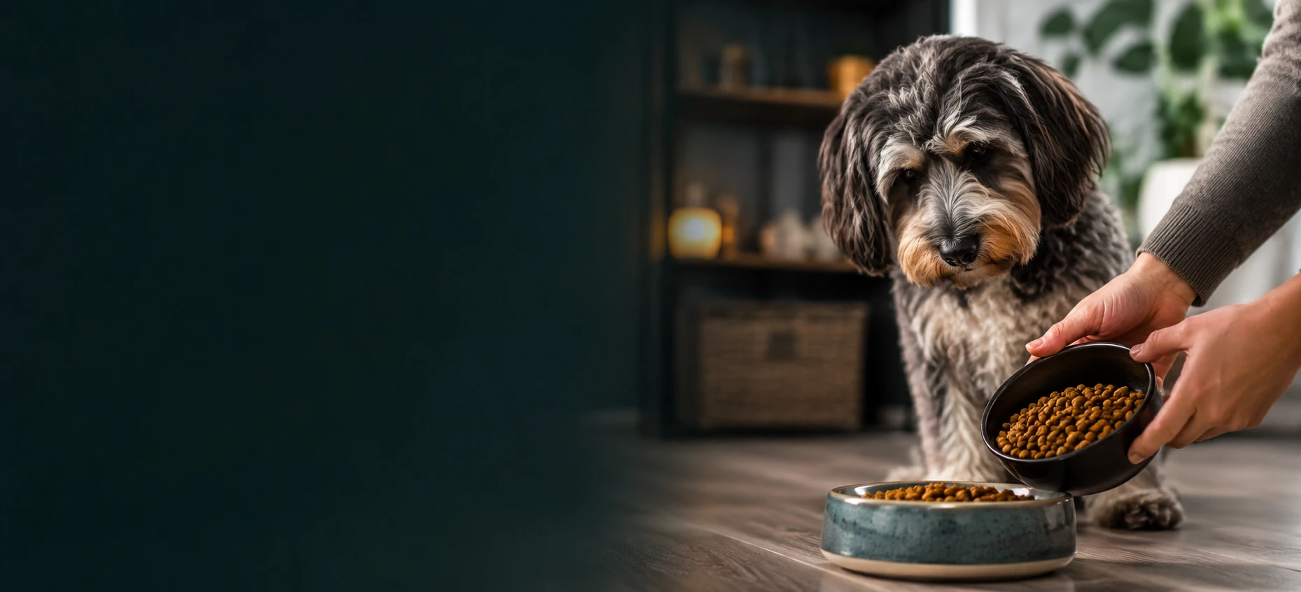 Dog waiting beside its food bowl