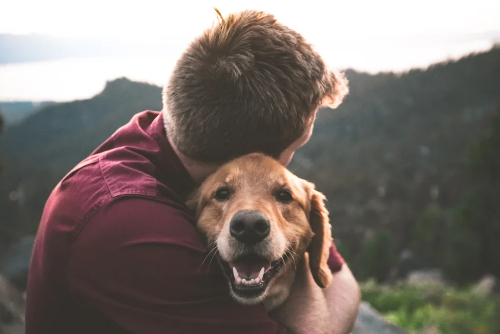 Happy golden retriever being hugged by its owner