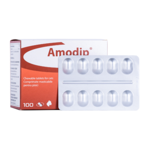 Amodip 1.25 mg Tablets for Cats shown with a blister of ten oblong scored chewable tablets
