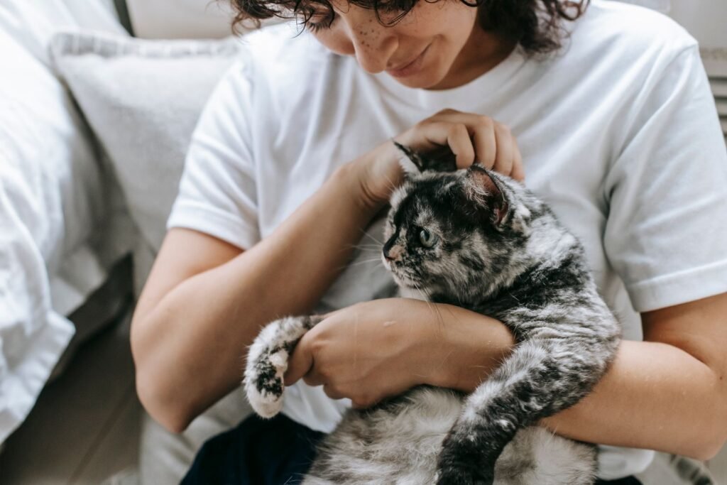 Smiling woman in a white T-shirt cradling and stroking a grey tabby cat at home – a calm home is where you will want to know what to do if your cat has a seizure