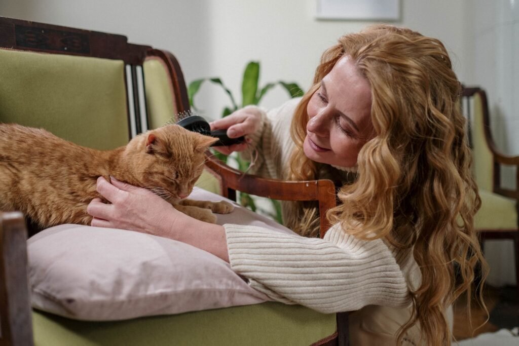 Woman gently brushing a ginger cat lying on a pillow on a green armchair - regular grooming helps you spot a cat losing fur early