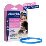Ceva Adaptil Junior collar for puppies