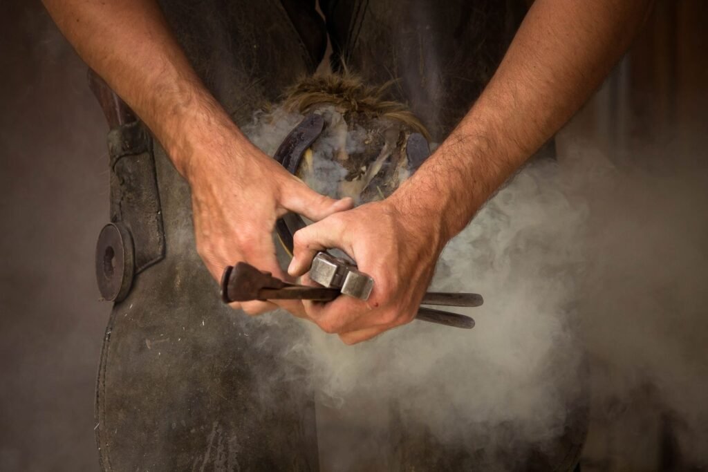 Farrier's hands holding a horse's hoof and a hoof tool – cracked hooves in horses are usually managed by a farrier
