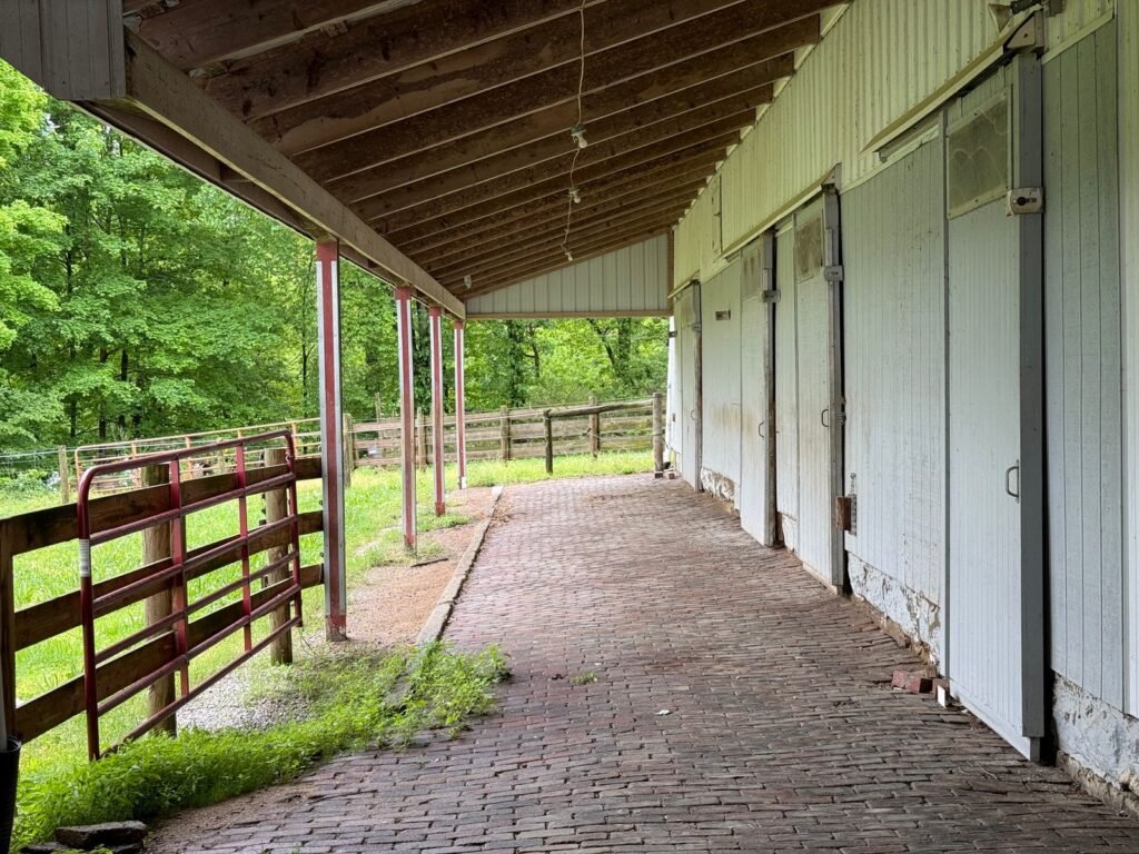 A brick-paved walkway beside white stable doors and a wooden paddock fence, the kind of yard where equine herpesvirus is controlled by separating horses