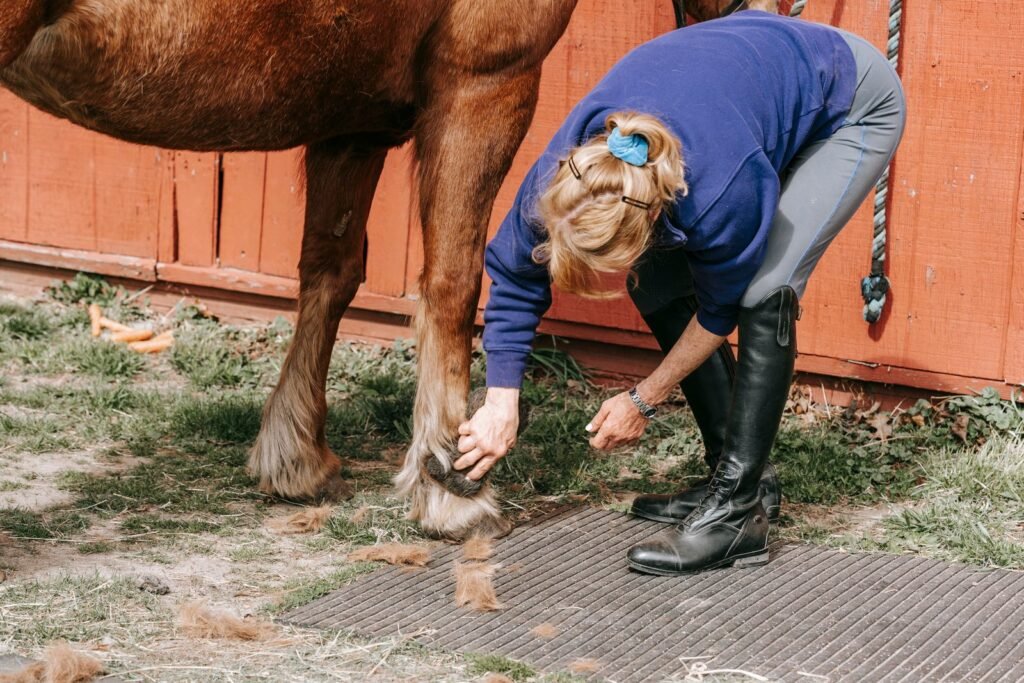 Woman in a navy top crouching to check a chestnut horse's lower leg beside a red barn – a calm check is the first step with horse wounds