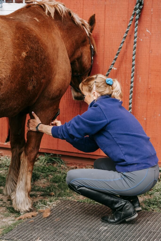 Woman crouching beside a chestnut horse's lower leg by a red barn wall – even small-looking horse wounds on the lower leg are worth a call to your vet