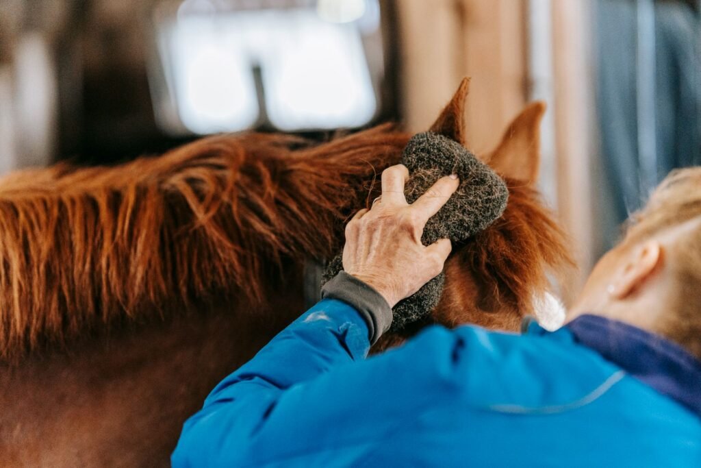 Person in a blue jacket brushing a chestnut horse's mane in a stable – checking for lice in horses means parting the hair and looking closely