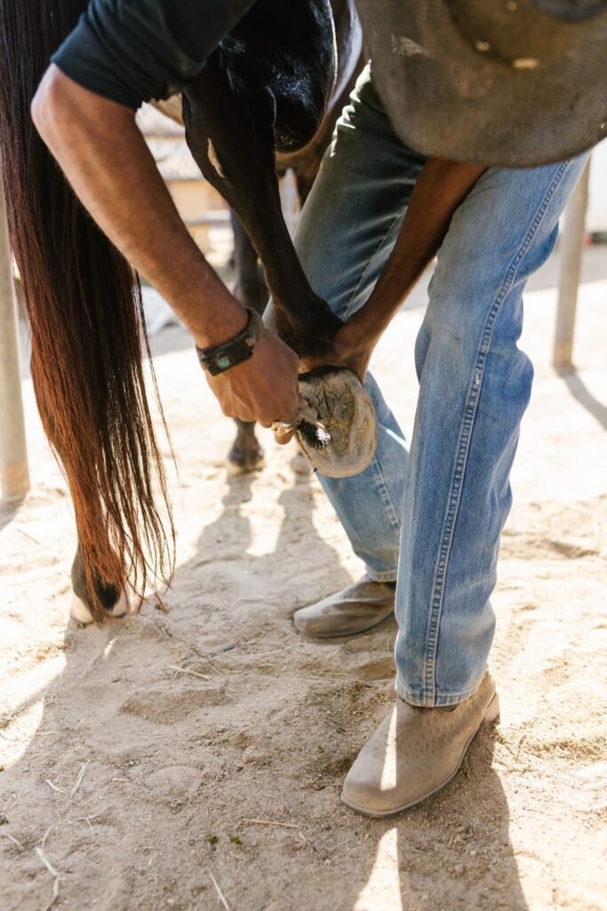 Person lifting a horse's hoof to clean it with a hoof pick – daily picking out helps guard against thrush in horses' hooves