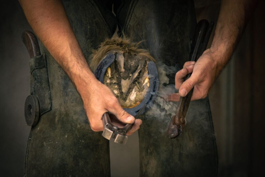 Farrier's hands holding a rasp and nippers over a horse's hoof – white line disease in horses is often first spotted at a farrier visit