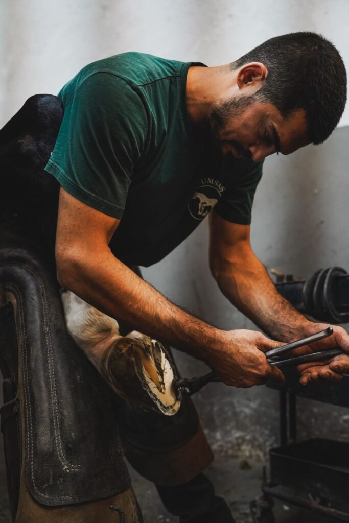 Farrier in a leather apron trimming a horse's hoof indoors – regular trimming helps reduce the risk of white line disease in horses