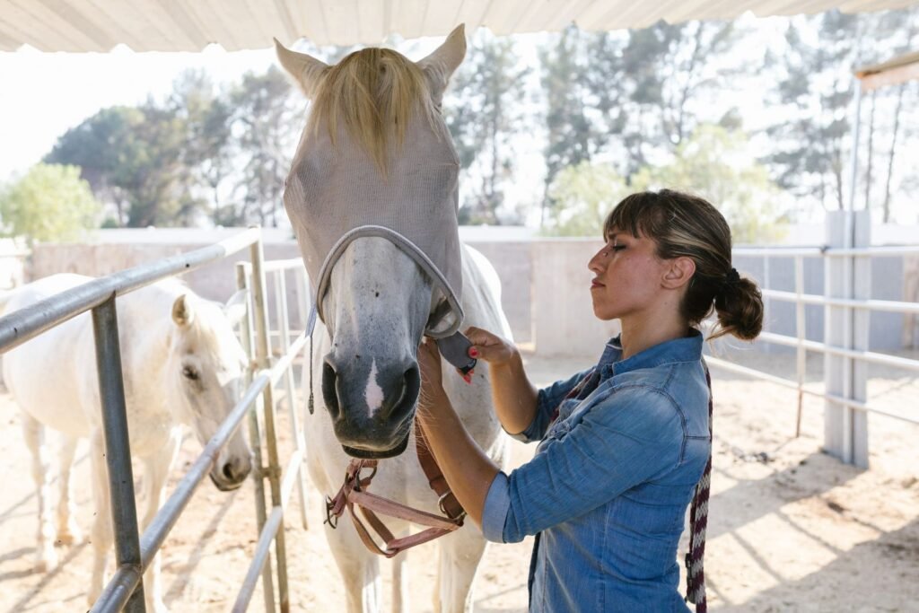 Woman fitting an anti-fly mask on a white horse in a yard – insect bites are one possible trigger for hives in horses
