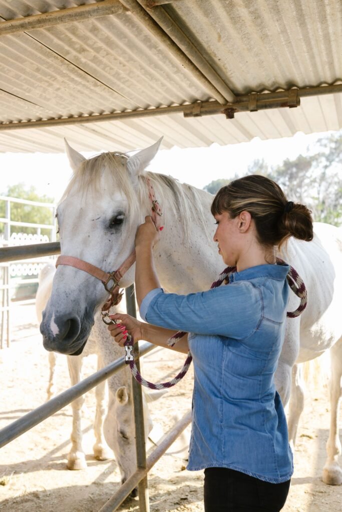 Woman holding the headcollar of a white horse under a corrugated roof – checking the skin regularly helps you spot hives in horses early
