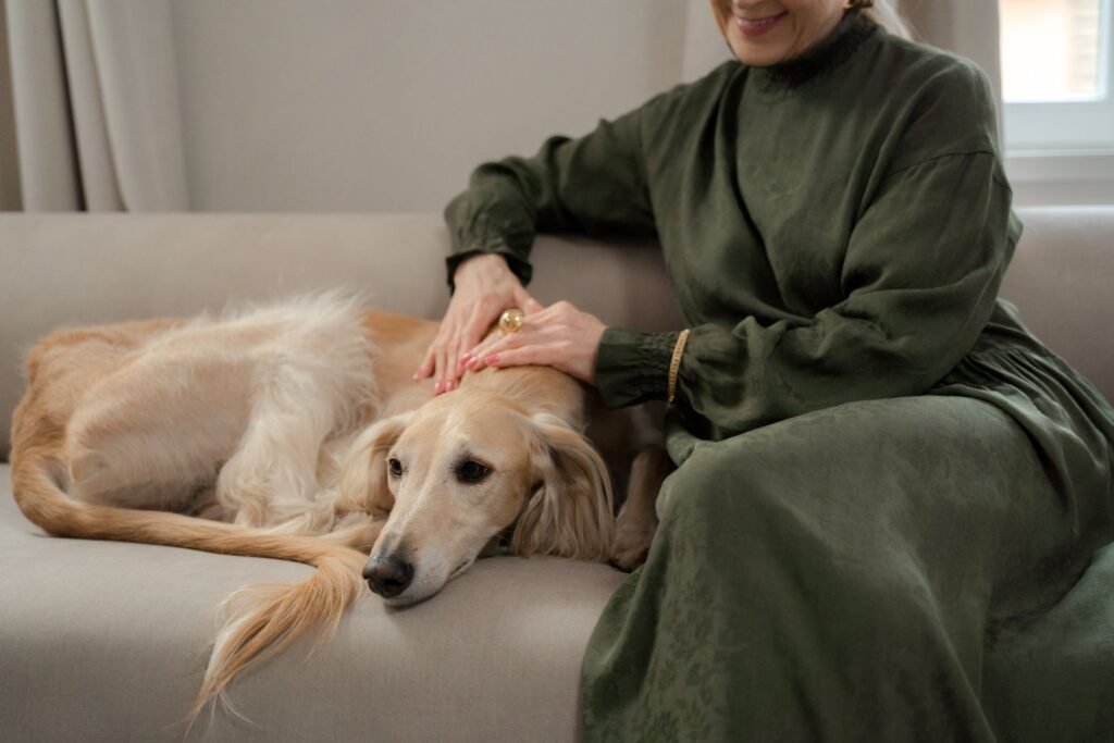Woman relaxing on a sofa at home with her greyhound - keep human painkillers away from your dog