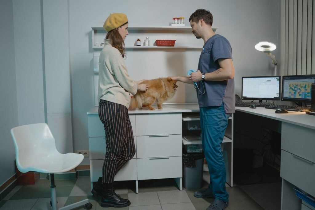 Owner and vet calmly discussing a Pomeranian in a clinic - getting a dog's seizures checked by a vet